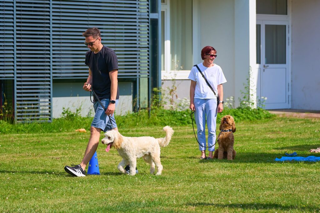 Sommerfest des TSV Neustadt